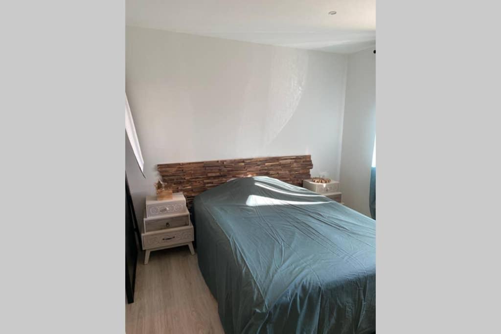 Bel Appartement 8 Personnes A Saint Chaffrey Dış mekan fotoğraf